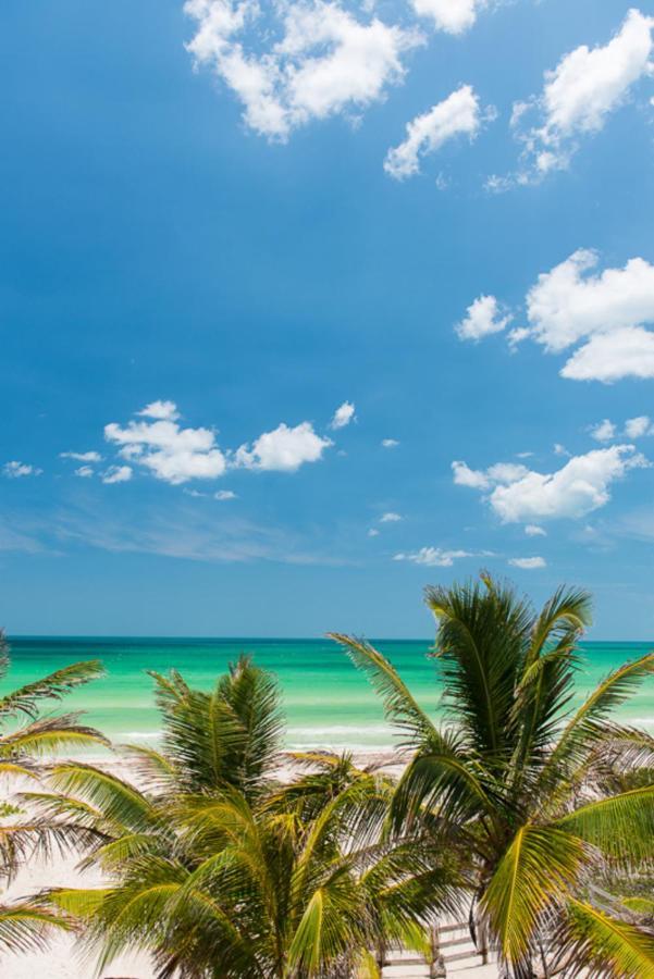 Beachfront Apartment Hacienda D엘 쿠요 외부 사진