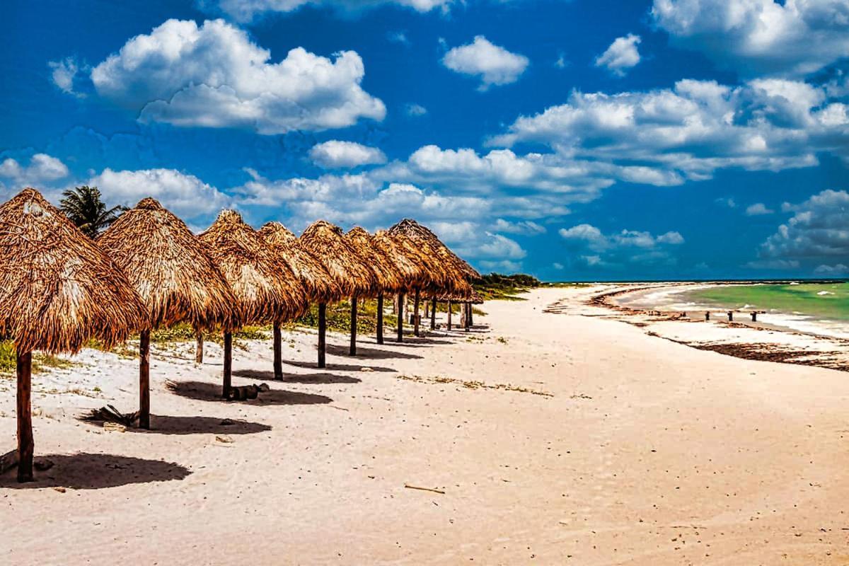 Beachfront Apartment Hacienda D엘 쿠요 외부 사진